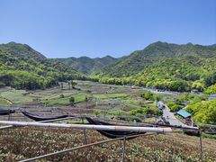 -龙坞茶村