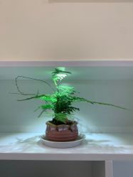 -初瞳专营美睫美甲