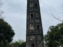 -上海佘山国家森林公园天马山园