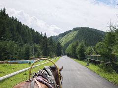 -苏木山森林公园