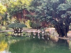 -九龙公园
