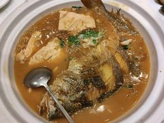 -金掌勺·锅包肉(广渠门店)