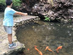 -雁荡山三折瀑景区