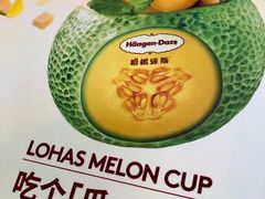 -哈根达斯(天河城店)