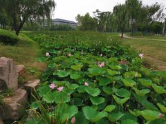 -东南大学(九龙湖校区)