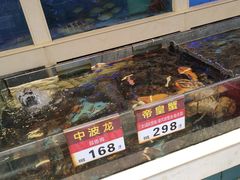 水产区-宜宾海鲜酒家·三十年老字号