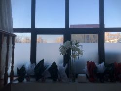 -安那般那皮肤年轻化ANAPANA