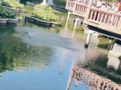 -城隍庙九曲桥