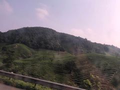 -江南天池高山汤泉城