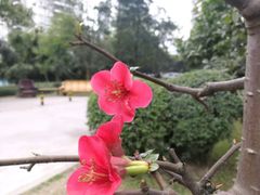 -艾尚主题式KTV(艾溪湖绿地店)