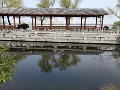-金银湖国家城市湿地公园