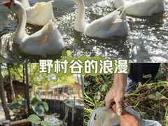 -黄陂区野村谷景区