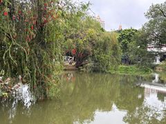 -荔枝公园(福田区)