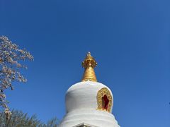 -护国法轮寺