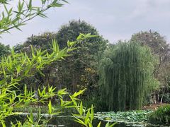 -映月潭温泉