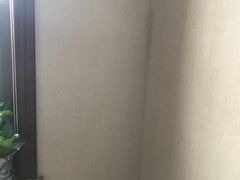 火烈鸟-随心小姐