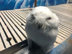 -成都浩海立方海洋公园