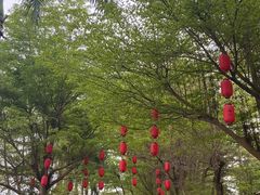 -揭东万竹园旅游景区