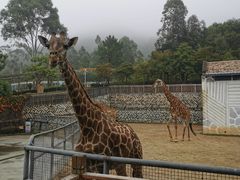 -泉州海丝野生动物世界