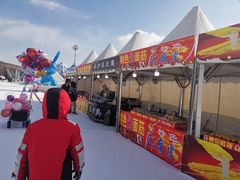 -沈阳奥体冰雪嘉年华