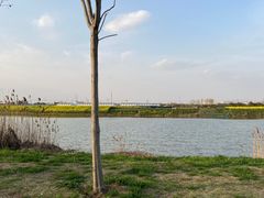 -漕湖湿地公园