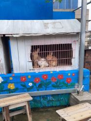 -梦田都市农场(银泰城店)