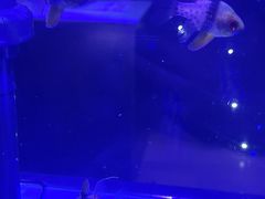 -海合安青岛极地海洋公园