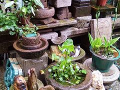 -烟桥私房菜馆(奋哥)