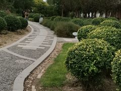 -东疆建设开发纪念公园