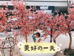 -百盛(万象城店)