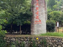 -东天目山风景区