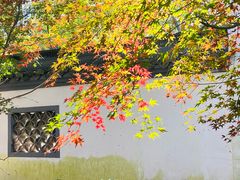 -西湖风景区十里琅珰-五云山