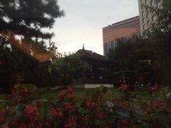 -亮马河饭店翠雅咖啡厅