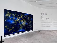 -德基艺术博物馆