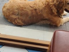 -85度C(上海松江九亭店)