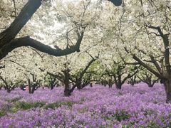 -江苏三台山国家森林公园