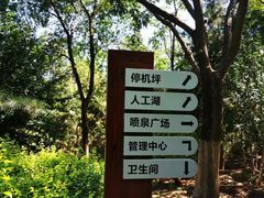 -滨河世纪广场公园