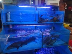 -韩妹鱼庄·泸定老字号(泸定店)