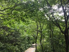 -白草畔自然风景区