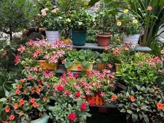 -山水茶艺馆·点心粤菜·30年老字号