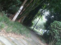 android_upload_pic-成都许燎源现代设计艺术博物馆