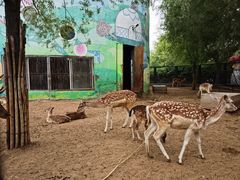 -鄂尔多斯野生动物园