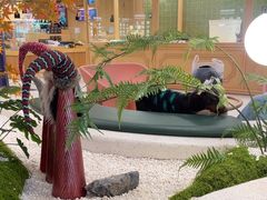 -帕帕拉兹宠物(亚洲旗舰店)