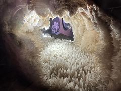 -湖南省地质博物馆