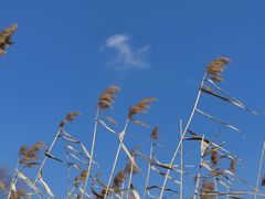 -苏州吴中太湖旅游区