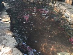 -厦门日月谷温泉渡假村