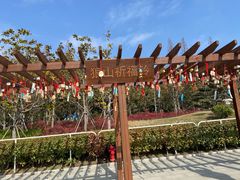 -狼山风景名胜区