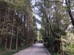 -同里国家湿地公园