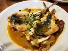 -9号小厨师(端平桥店)