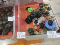 -禾斗海鲜自助(市南银座店)